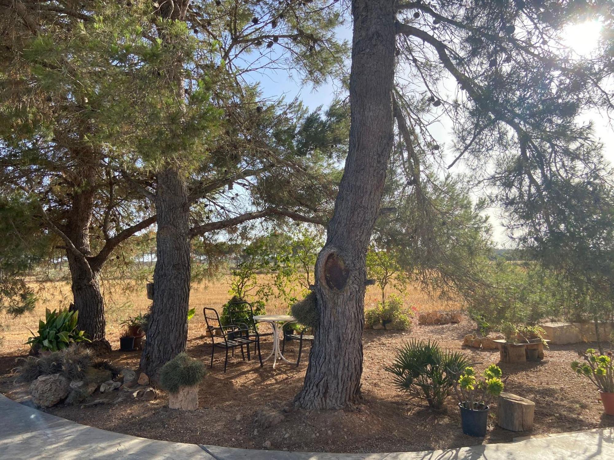 Villa Ca Na Brila Campos  Esterno foto